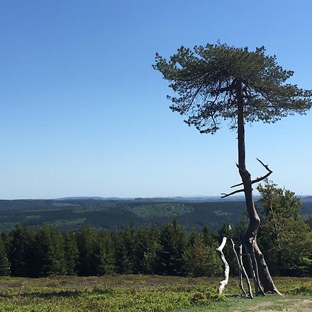 Berg- Und Seeblick Winterberg Exterior foto